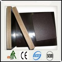 poplar core wbp glue film faced plywood for construction use