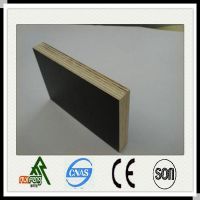 1220x2440mmx18mm poplar core film faced plywood for construction use