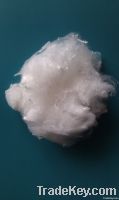 POLYESTER FIBER