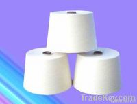 Polyacrylonitrile fiber