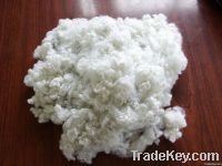 hollow recycled polyester staple fiber