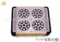 P4 - dimmable LED grow light & imitate sunrise and sunset