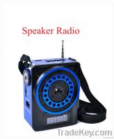 Torch Light Hot Sell Fashion Portable Radio with usb/sd Player