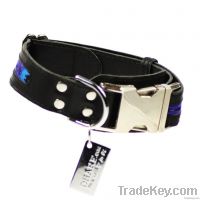 Dog Collar Elegance