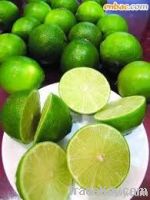 FRESH LIME