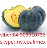 FRESH PUMPKIN VIET NAM