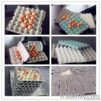 Automatic-3500pcs/h egg tray making machine