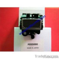 Epson DX2 Solvent Colour - F055000