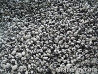 Salted Coated Black Edamame