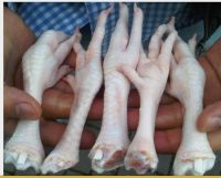 Processed Grade A Frozen Chicken Feet