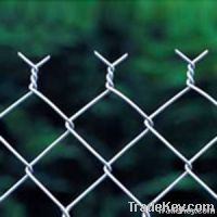 Sell Expanded Mesh/Stainless steel/Wire mesh