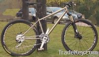 Titanium mountain bike  (customizable)