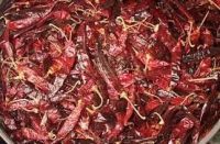 DRIED CHILI