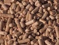 Din+ quality wood pellets