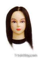 Mannequin head human hair, salon mannequin head, natural hair training h