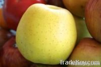 Apple fruits, first grade