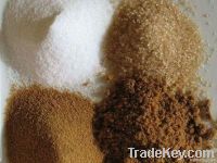 GRADE A REFINED WHITE SUGAR