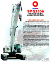 25T Telescopic Crawler crane