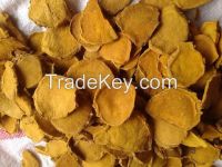 Curcuma