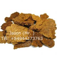 Coconut Copra meal for animal feed