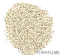 Sesame Seed