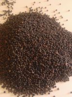 Brazilian Black Pepper