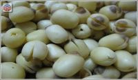 fresh lotus seeds