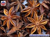 Star Anise