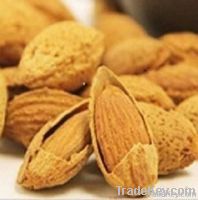 https://www.tradekey.com/product_view/Almond-Badam-5506124.html