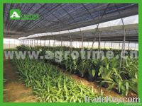 commercial greenhouse for agriculture