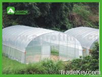 Multi-span greenhouse
