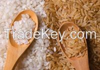 WHITE RICE | PARBOILED RICE | BASMATI RICE | JASMINE RICE