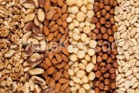 Almond Nuts | Cashew Nuts | Pistachios | Bettel Nuts | All Nut|Brazil Nuts|Sw...