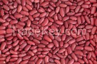 Kidney Beans Sugar Beans | Kidney Beans | Mung Beans