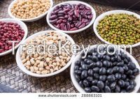 Beans Kidney Beans, Chickpeas, Soybeans, Lentils, Vigna Beans, Peas, Mung Bea...