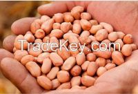 Good peanut kernel 24/28 blanched peanuts 25/29 //peanuts 40/50//blanched pea...