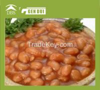 Canned broad beans fava beans