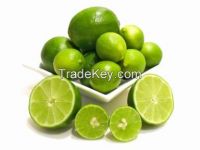 Fresh Persian Lime Fruits