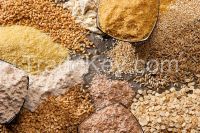 Grains & Cereals