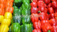 fresh color capsicum organic