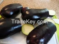 Fresh black eggplant/ Iranian eggplant