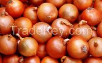 New Red Onion With Best Price