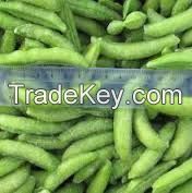 Wholesale food specification frozen green beans