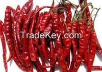 SUPPLY ALL KINDS OF PREMIUM QUALITY RED CHILI
