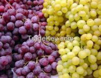 Fresh South African Grapes