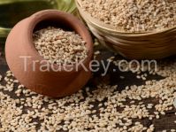 Quality Sesame Seed | Sunflower Seed | Moringa Seeds | Poppy Seeds