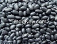 Dried Black Kidney Beans or Black Beans