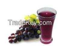 RED GRAPE PUREE