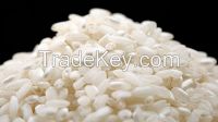 Rice, Barley, Wheat, Oats, Rough Rice, Soft Red Winter Wheat, Sorghum, Fish M...