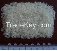 Japonica Rice 5% Broken